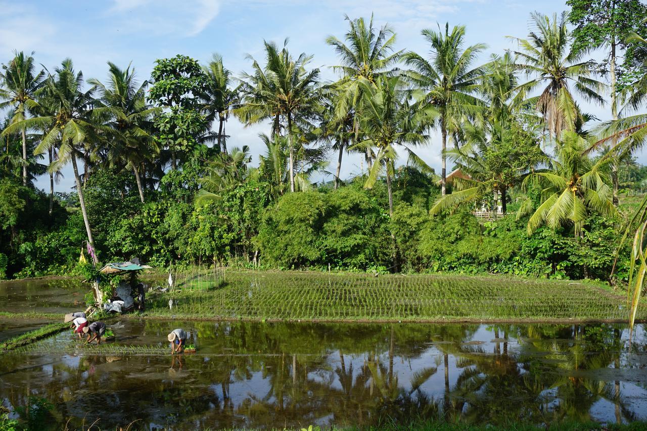 Puri Kobot Hotell Ubud Exteriör bild